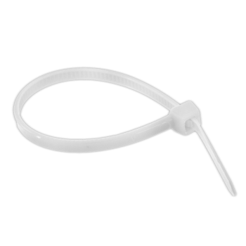 ABRACADEIRA NYLON BCA 3,5 X 280  (100 P)